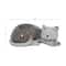 15&#x22; Gray Polystone Country Cat Garden Sculpture